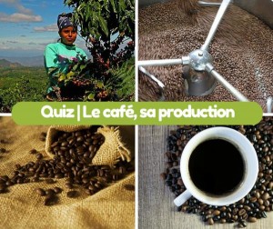 QUIZ sur le cafe et sa production
